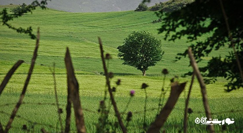 شهر پل سفید در استان مازندران - توریستگاه
