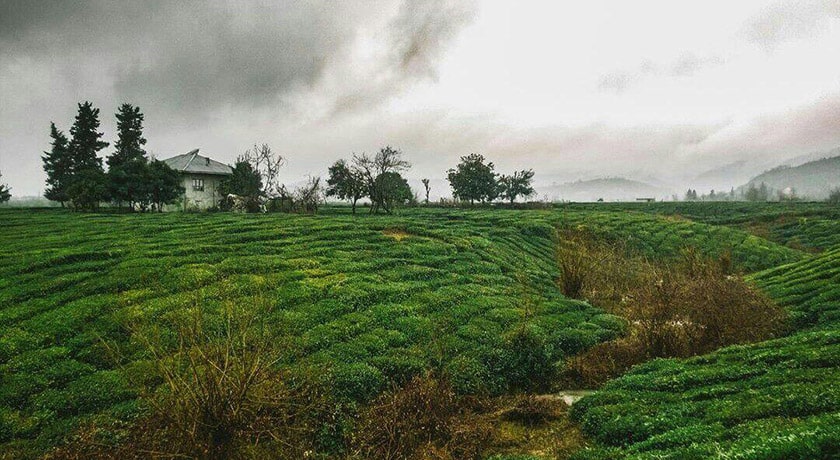 شهر تنکابن در استان مازندران - توریستگاه