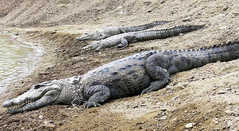 شهر چابهار در استان سیستان و بلوچستان - توریستگاه