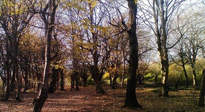 شهر قائم شهر	 در استان مازندران - توریستگاه