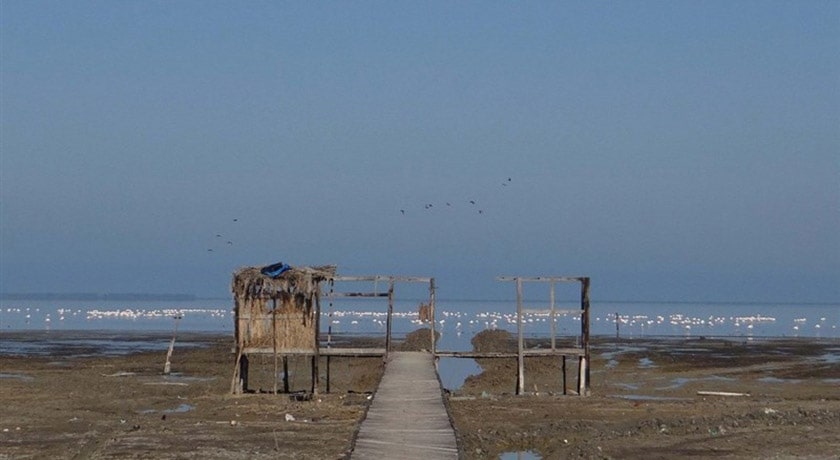 شهر گلوگاه در استان مازندران - توریستگاه