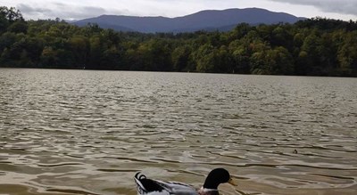 شهر نور در استان مازندران - توریستگاه