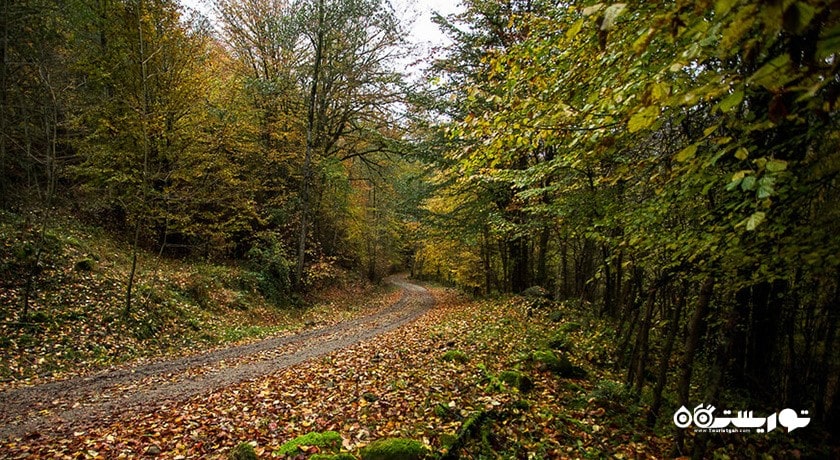 شهر شیرگاه در استان مازندران - توریستگاه