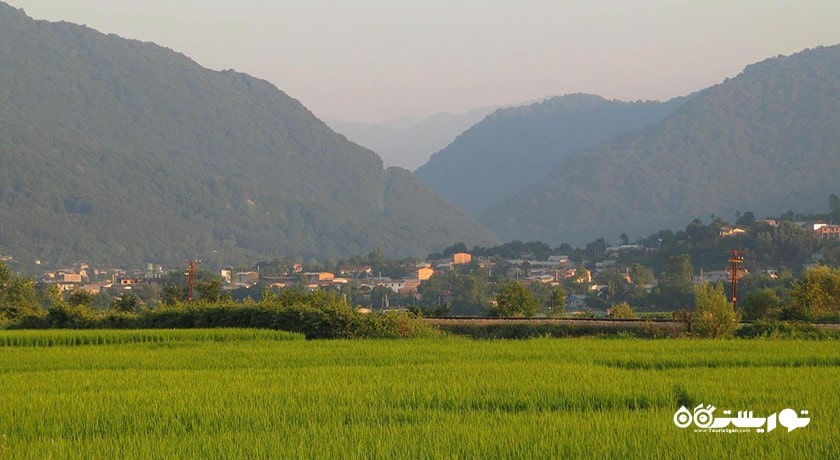 شهر شیرگاه در استان مازندران - توریستگاه