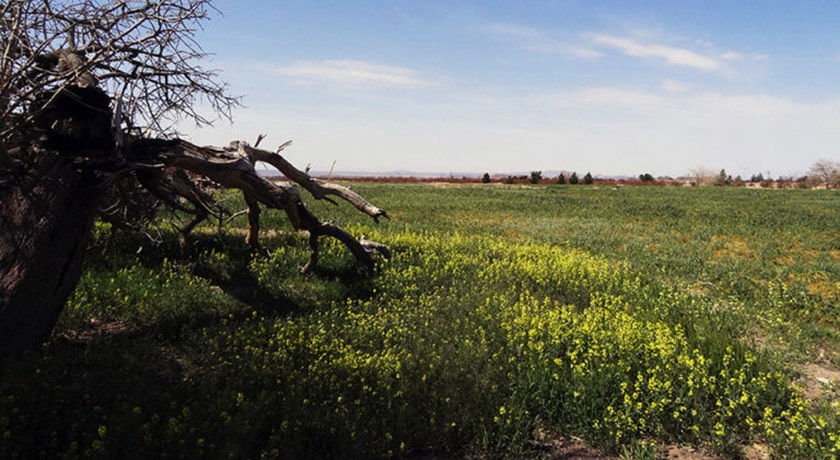 شهر فردوس در استان خراسان جنوبی - توریستگاه