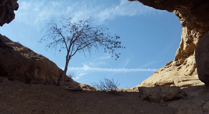 شهر فردوس در استان خراسان جنوبی - توریستگاه