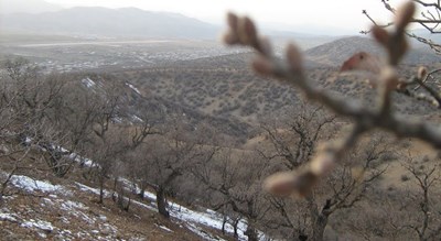 شهر یاسوج در استان کهگیلویه و بویر احمد - توریستگاه