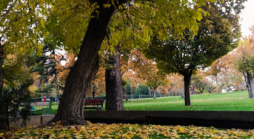 شهر تهران در استان تهران - توریستگاه