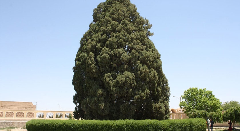 شهر ابرکوه در استان یزد - توریستگاه