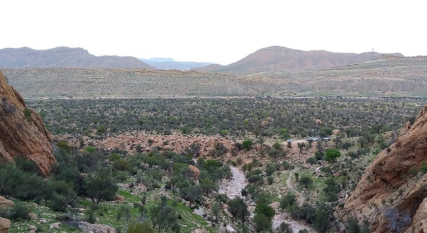 شهر جهرم در استان فارس - توریستگاه