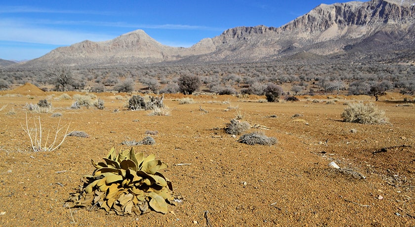 شهر نی ریز	 در استان فارس - توریستگاه