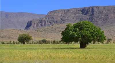 شهر نی ریز	 در استان فارس - توریستگاه