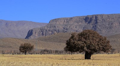 شهر نی ریز	 در استان فارس - توریستگاه