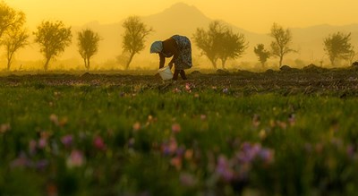 شهر فاروج در استان خراسان شمالی - توریستگاه