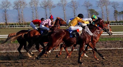 شهر ترکمن در استان گلستان - توریستگاه