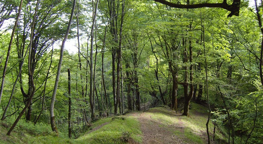 شهر کرد کوی	 در استان گلستان - توریستگاه