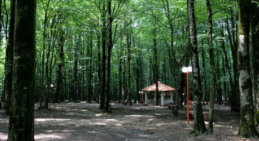 شهر کرد کوی	 در استان گلستان - توریستگاه