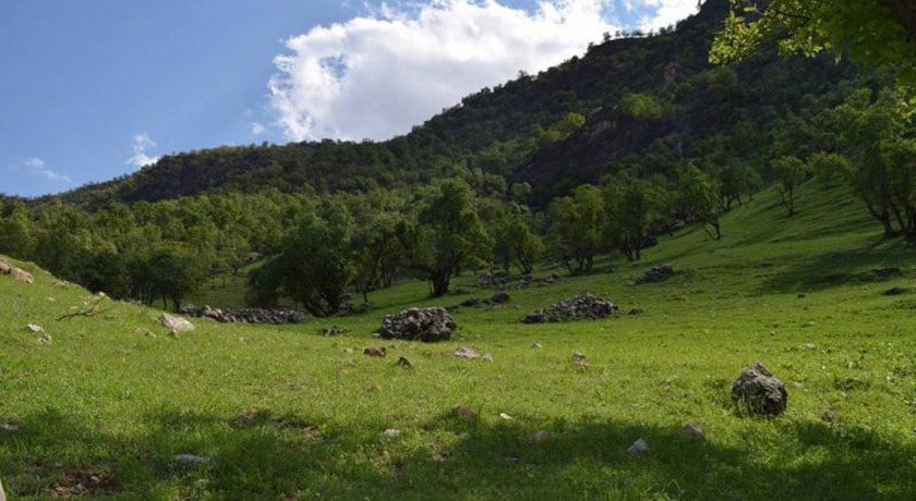 شهر بدره در استان ایلام - توریستگاه