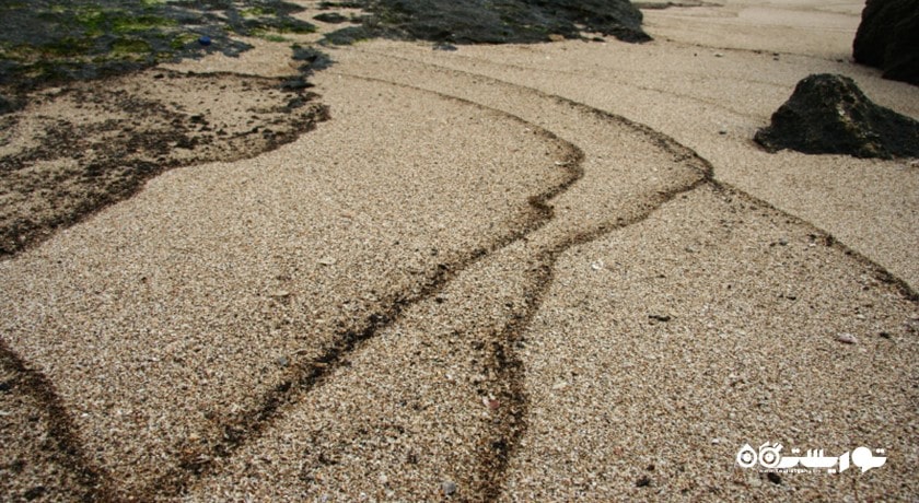 شهر قشم در استان هرمزگان - توریستگاه