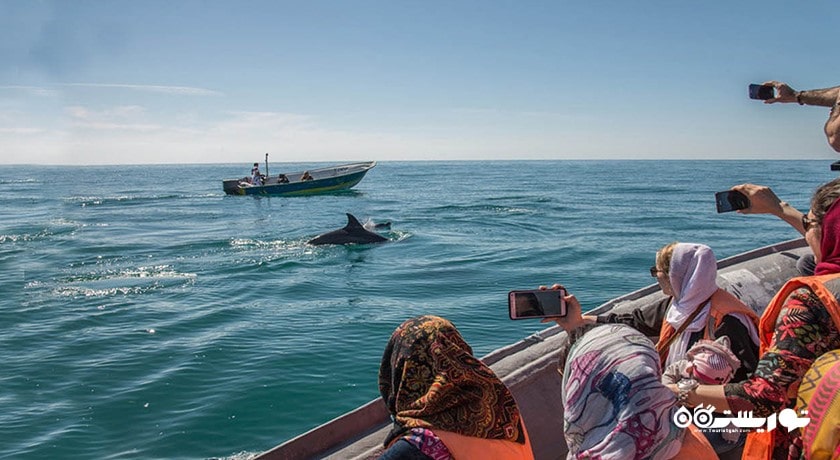 شهر قشم در استان هرمزگان - توریستگاه