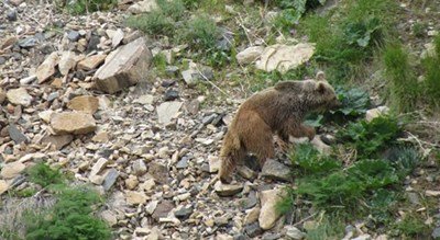 شهر ماهنشان	 در استان زنجان - توریستگاه