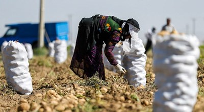 شهر آستانه اشرفیه	 در استان گیلان - توریستگاه