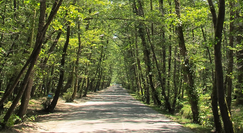 شهر تالش (طوالش) در استان گیلان - توریستگاه