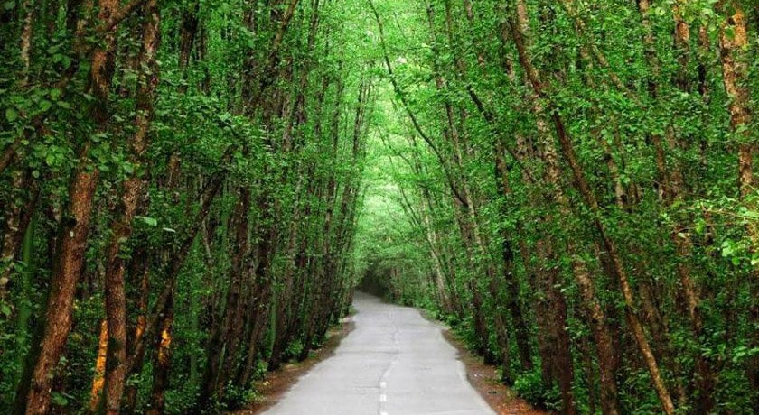 شهر تالش (طوالش) در استان گیلان - توریستگاه