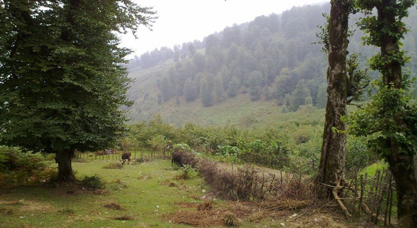 شهر املش در استان گیلان - توریستگاه