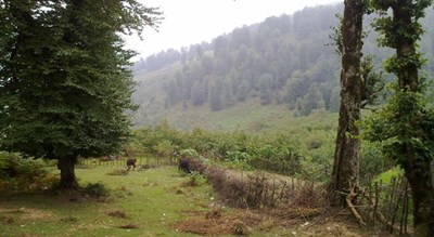 شهر املش در استان گیلان - توریستگاه