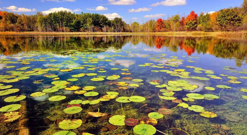 شهر بندر انزلی	 در استان گیلان - توریستگاه
