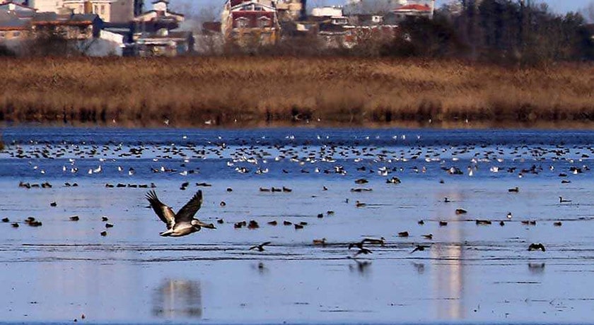 شهر بندر انزلی	 در استان گیلان - توریستگاه