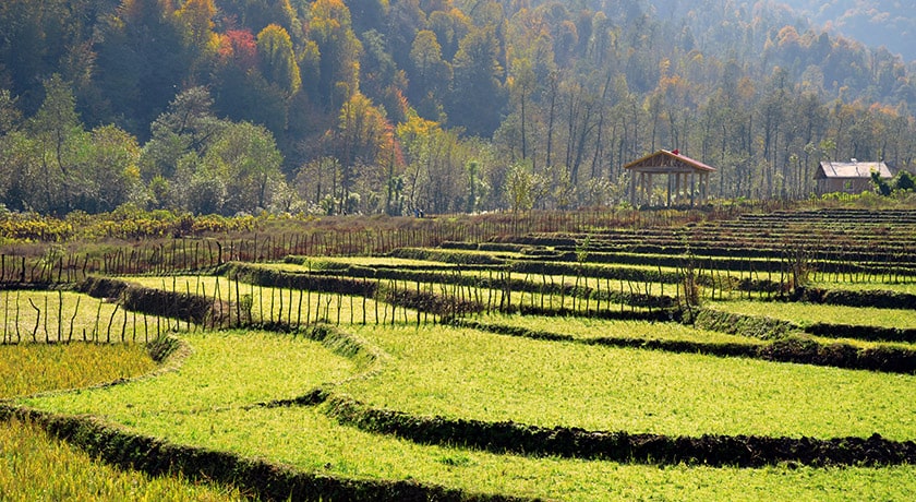 شهر سیاهکل	 در استان گیلان - توریستگاه