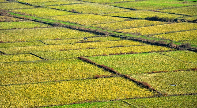 شهر سیاهکل	 در استان گیلان - توریستگاه