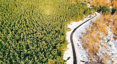 شهر صومعه سرا	 در استان گیلان - توریستگاه