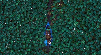 شهر صومعه سرا	 در استان گیلان - توریستگاه