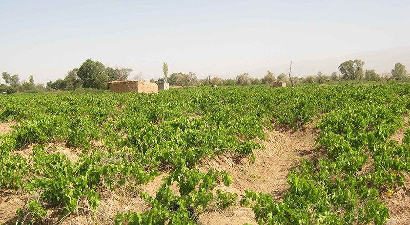 شهر بهار	 در استان همدان - توریستگاه