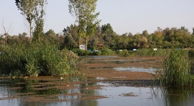 شهر پارس آباد	 در استان اردبیل - توریستگاه