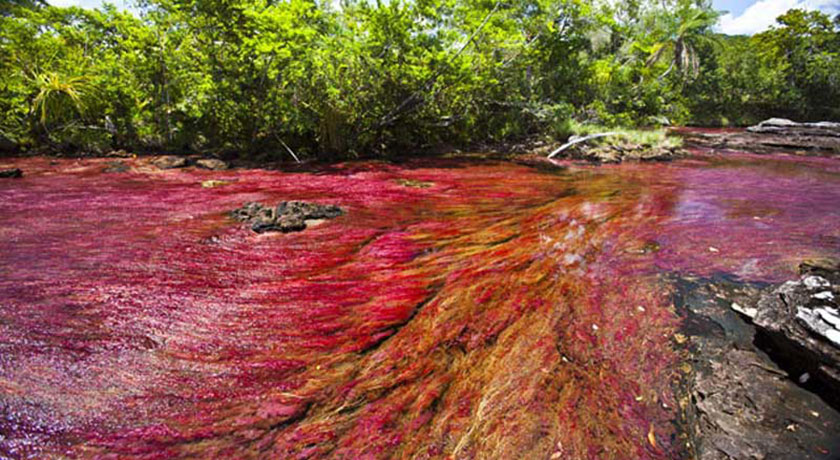 شهر شاهرود	 در استان سمنان - توریستگاه