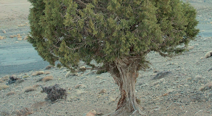 شهر شاهرود	 در استان سمنان - توریستگاه