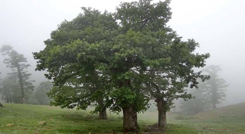 شهر شاهرود	 در استان سمنان - توریستگاه