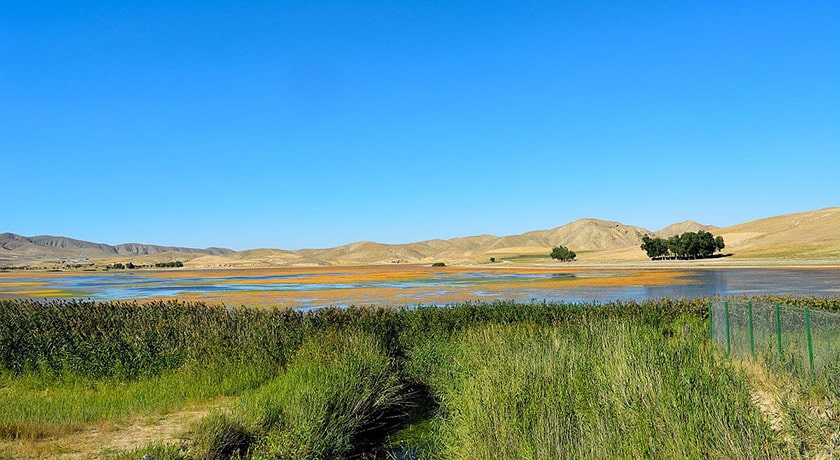 شهر بستان آباد	 در استان آذربایجان شرقی - توریستگاه