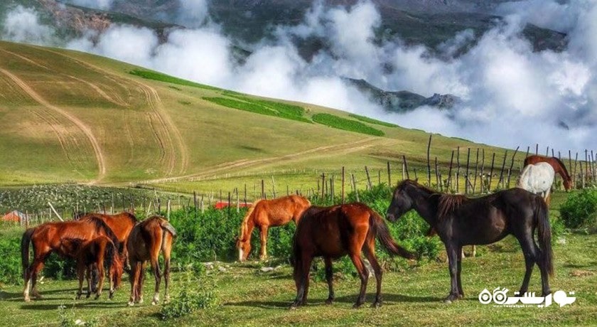 شهر لیسار در استان گیلان - توریستگاه