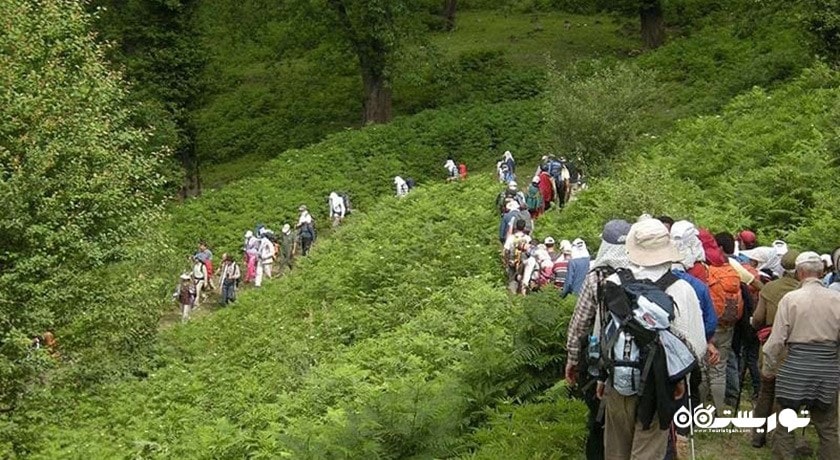 شهر لیسار در استان گیلان - توریستگاه