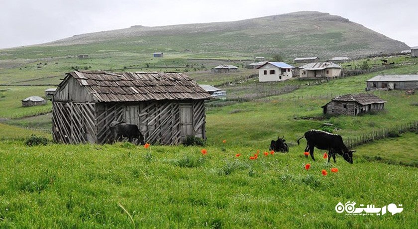 شهر لیسار در استان گیلان - توریستگاه