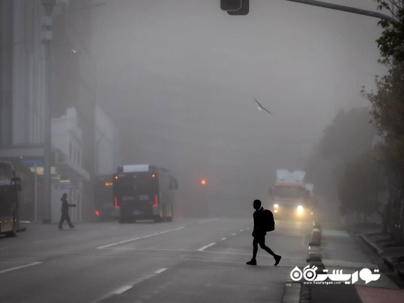 ۱۰. همیلتون-نیوزیلند یکی از مقاصد برتر جهان که مه در آنها «جادوی ناب» می آفریند