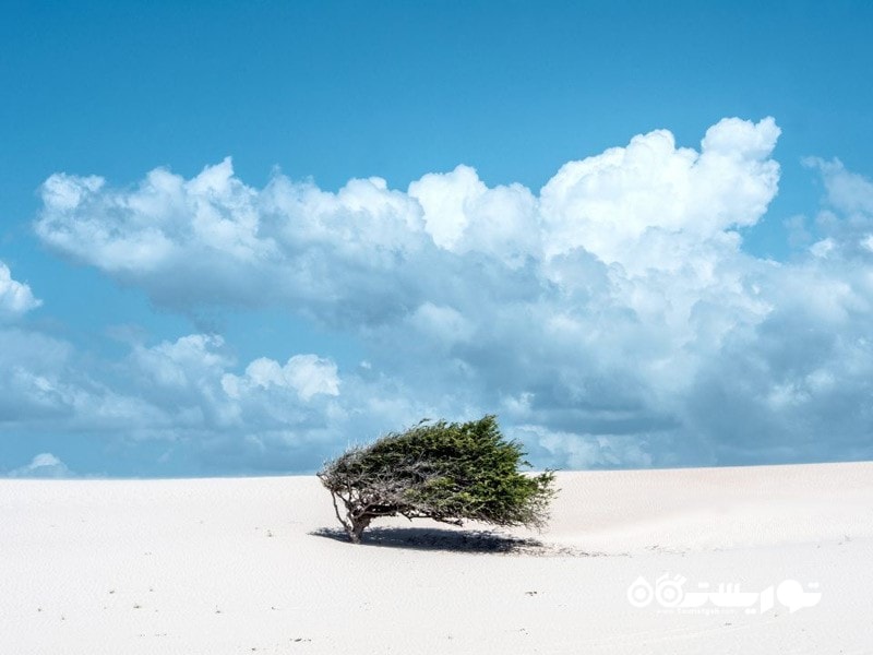 2. پارک ملی جریکو کورا (Jericoacoara National Park)، برزیل