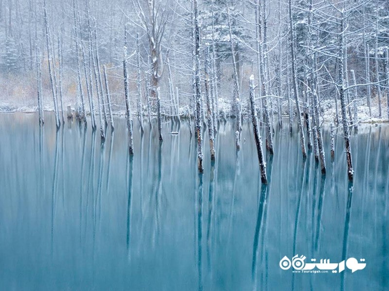 بلو پاند (Blue Pond)، هوکایدو (Hokkaido)، ژاپن