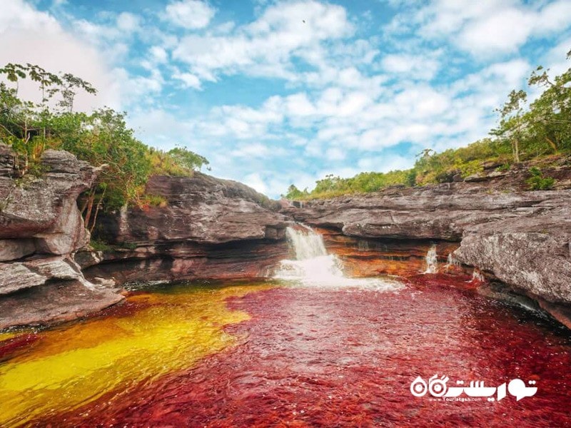 ２- کانو کریستالس (Cano Cristales) در کشور کلمبیا