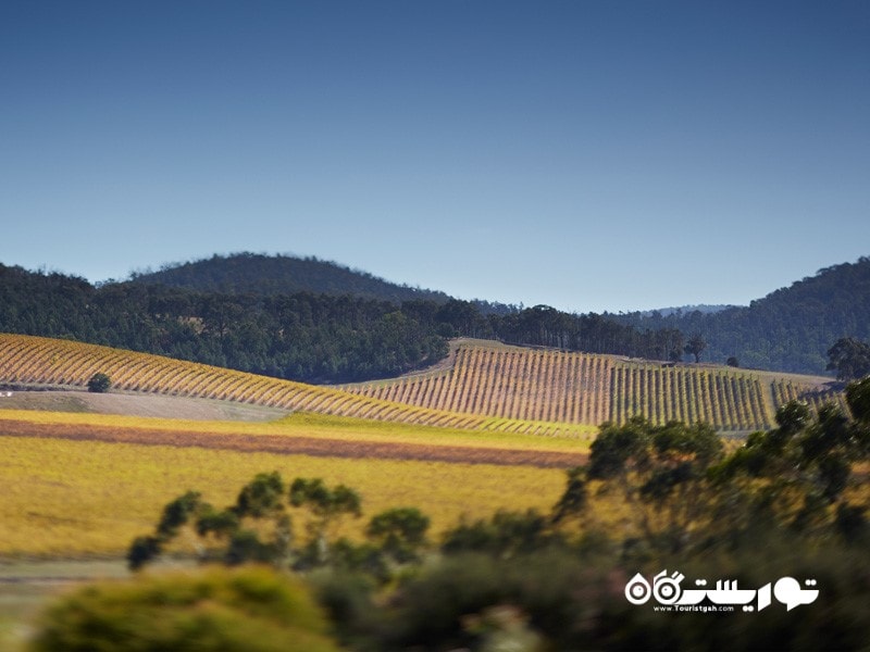 1. دره یارا  (Yarra Valley) 